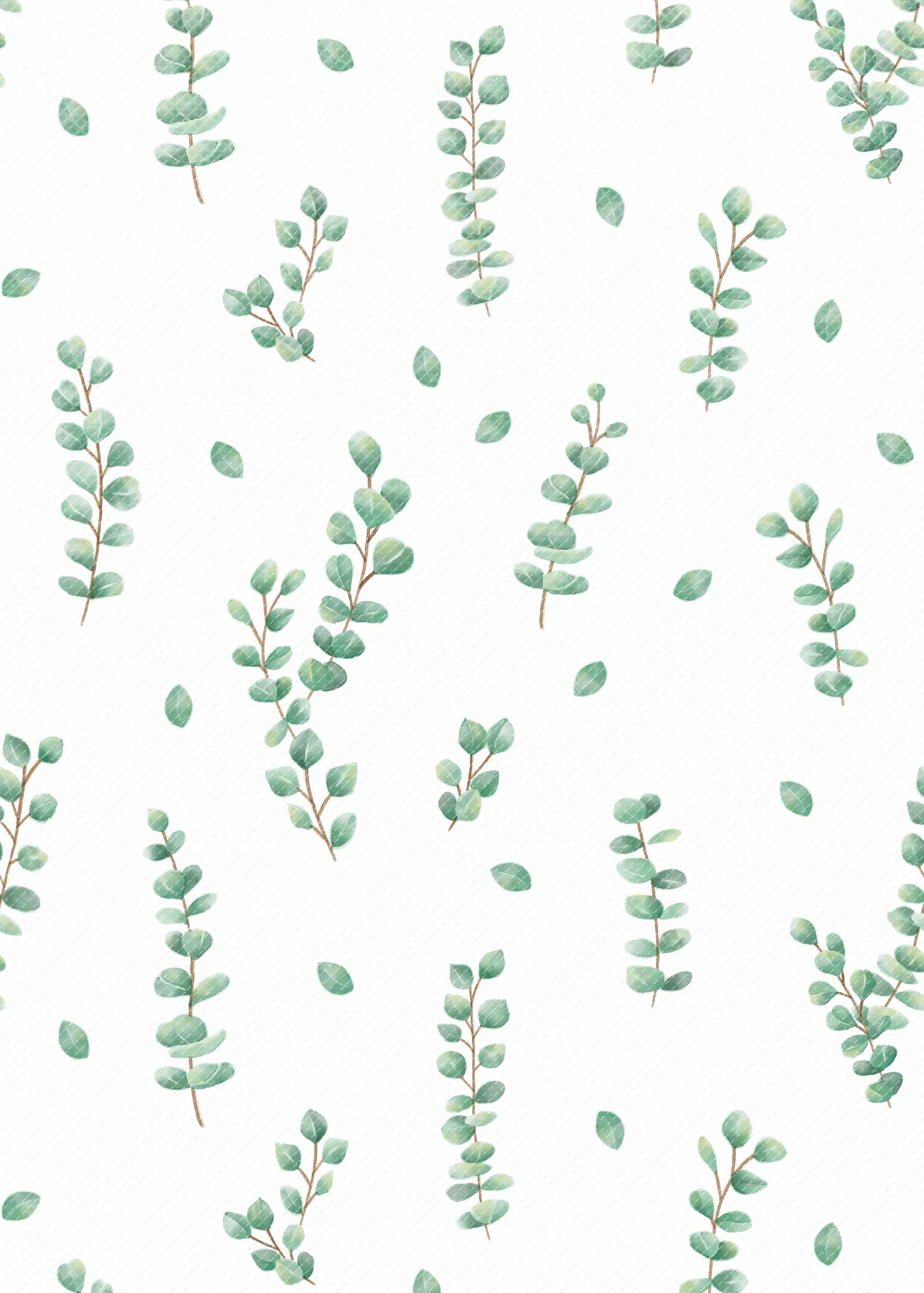 Eucalyptus Better Than Paper Bulletin Board Rol - Image 2