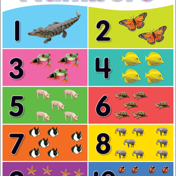 Colorful Numbers 1-10 Cha