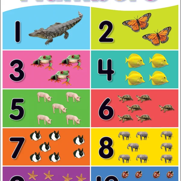 Colorful Numbers 1-10 Cha