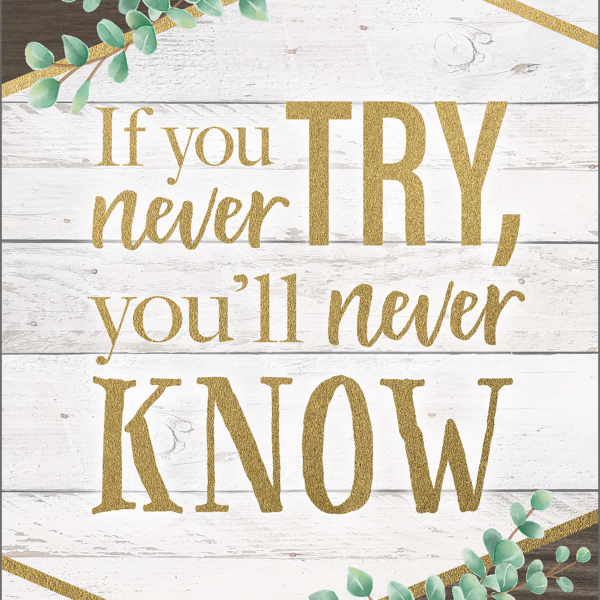 If You Never Try, You'll Never Know Positive Post