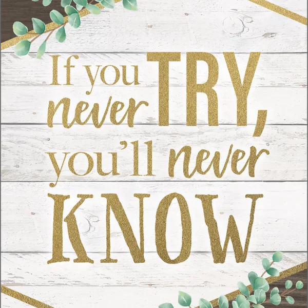 If You Never Try, You'll Never Know Positive Post