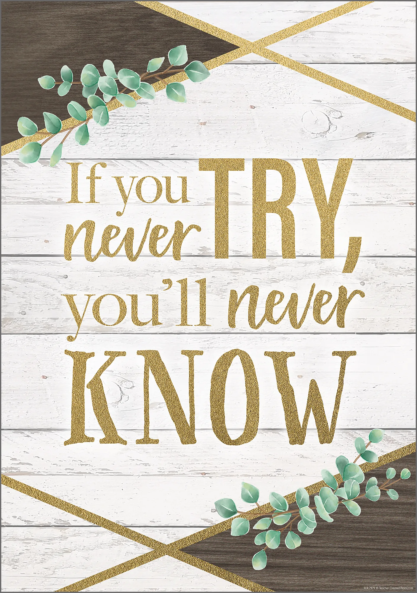 If You Never Try, You'll Never Know Positive Post