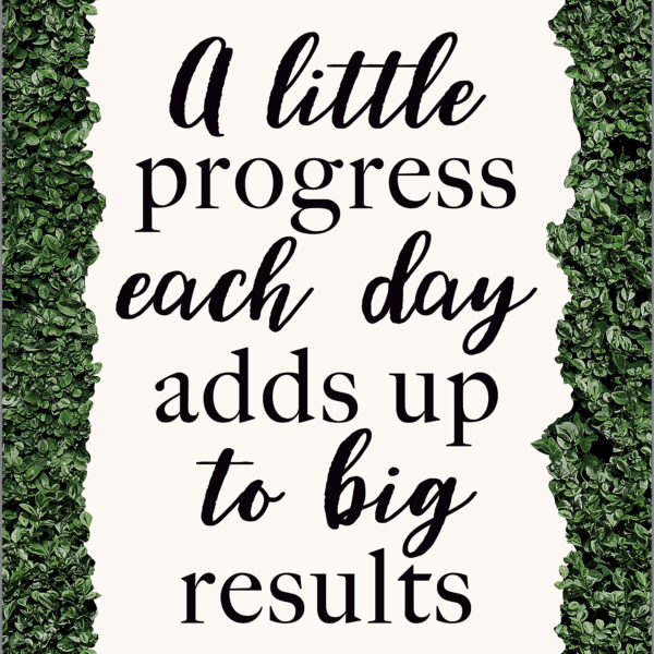 A Little Progress Each Day Adds up to Big Results Positive Poster