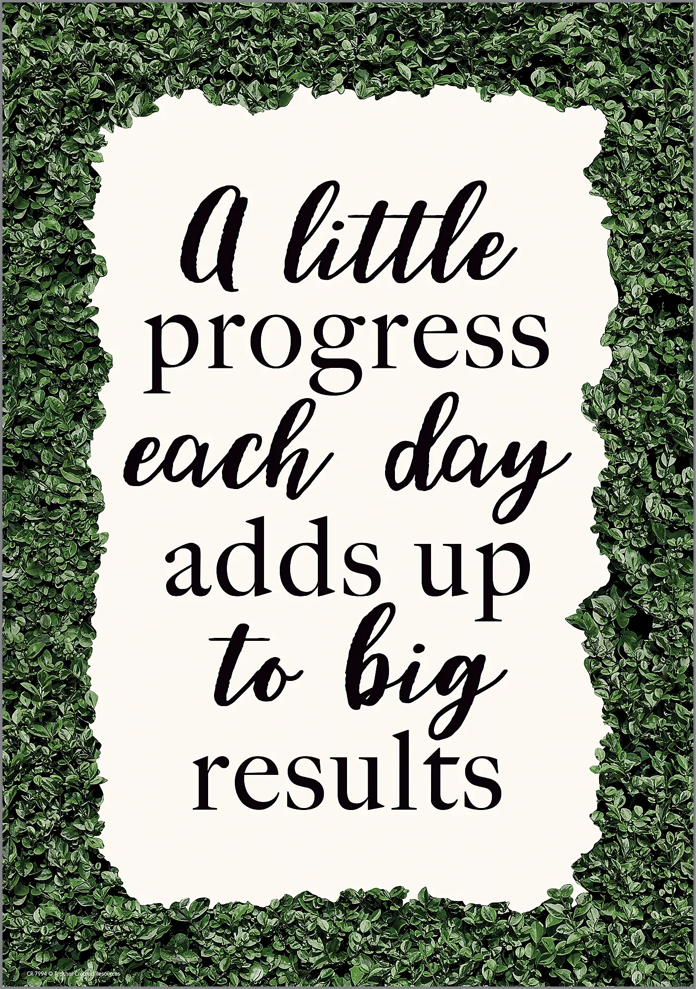 A Little Progress Each Day Adds up to Big Results Positive Poster