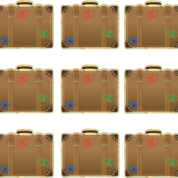 Travel the Map Luggage Mini Accents