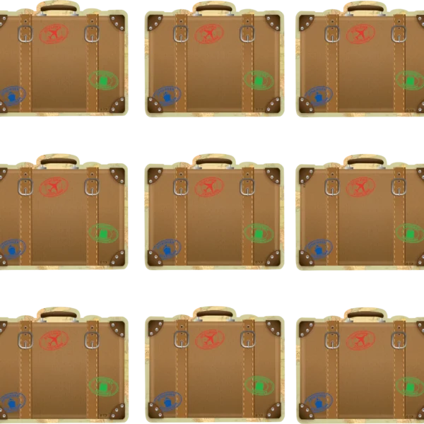 Travel the Map Luggage Mini Accents