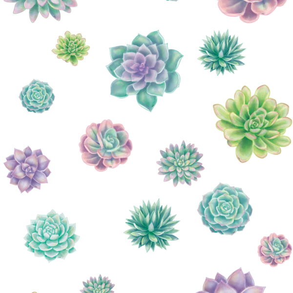 Rustic Bloom Succulents Accents - Assorted Sizes