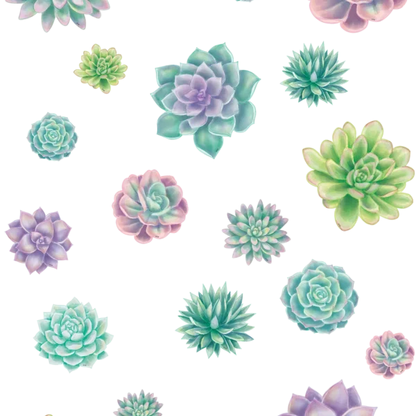Rustic Bloom Succulents Accents - Assorted Sizes