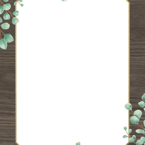 Eucalyptus Computer Paper