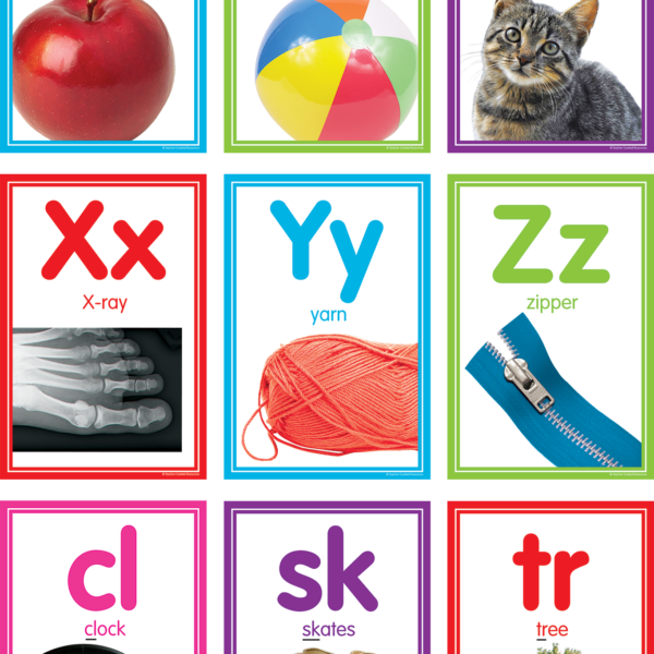 Colorful Photo Alphabet Cards Bulletin Board