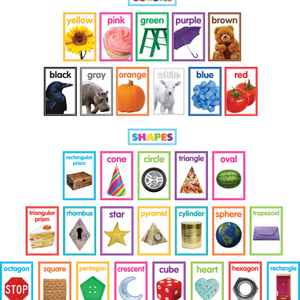 Colorful Photo Shapes & Colors Cards Bulletin Board