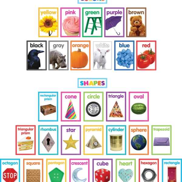 Colorful Photo Shapes & Colors Cards Bulletin Board
