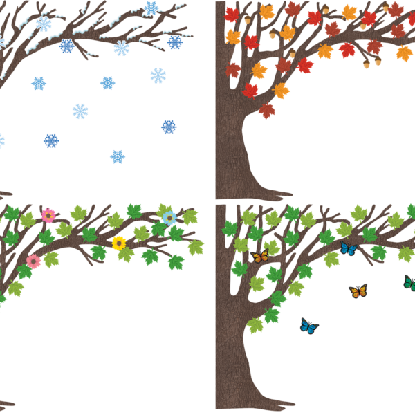 Tree for All Seasons Bulletin Board