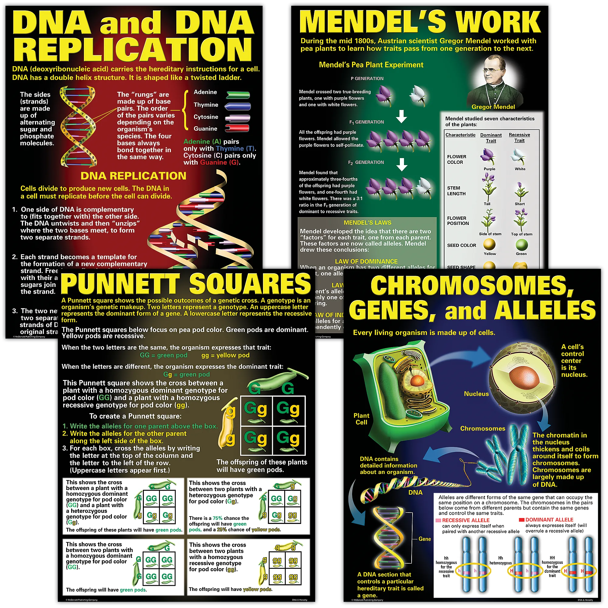 DNA & Heredity Poster Set